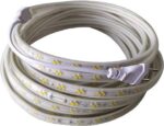 Fancy 2400 LEDs 19.99 m White Steady String Rice Lights