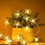 Refulgix 16 LEDs 3 m Yellow Steady Flower Rice Lights