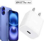 RoarX 20 W PPS 3 A Wall Charger for Mobile