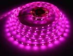 SAYENY 275 LEDs 5 m Pink Steady Strip Rice Lights