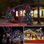 REIRSON 100 LEDs 50 m Multicolor Flickering Bulb Rice L...