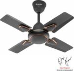 Candes Brio Turbo 600 mm 4 Blade Ceiling Fan